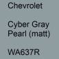 Preview: Chevrolet, Cyber Gray Pearl (matt), WA637R.